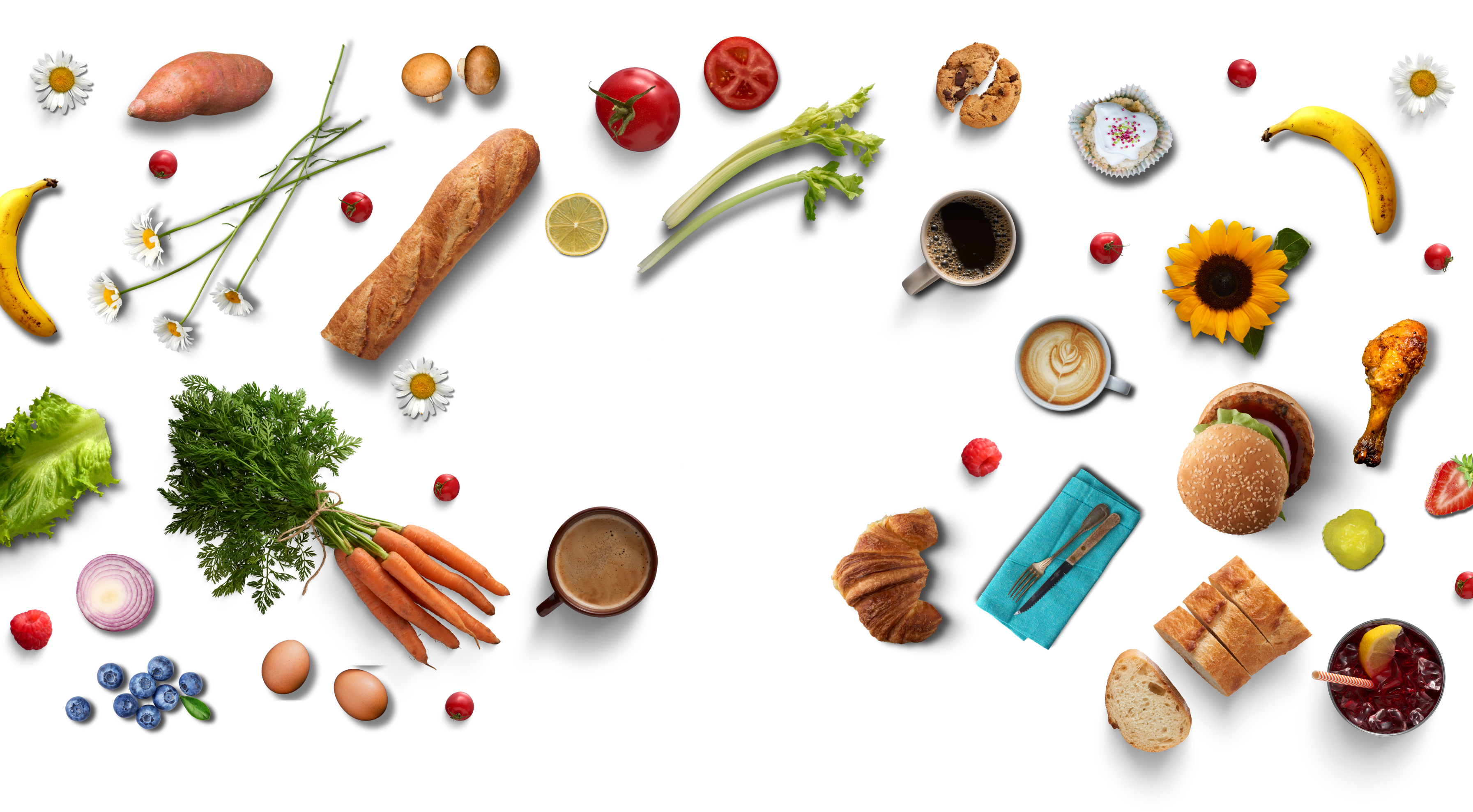 PGI Website Graphic